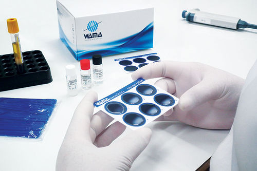 Reactivo en solución - Wama Diagnostica - por inmunología / de CRP / de factor reumatoide
