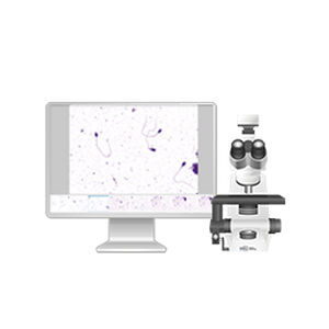 Sistema de imagen celular automático - 71 series - West Medica - de laboratorio / de diagnóstico / de esperma