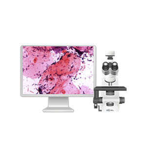 Sistema de imagen celular automático - 71150.05 - West Medica - de laboratorio / de diagnóstico / para microbiología