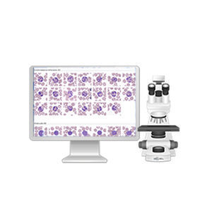 Sistema de imagen celular automático - Vision Assist - West Medica - de laboratorio veterinario / de diagnóstico