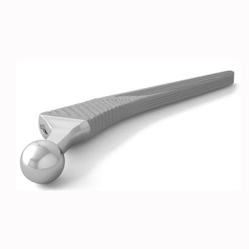 Vástago femoral no cementado - TBG - Double Medical Technology