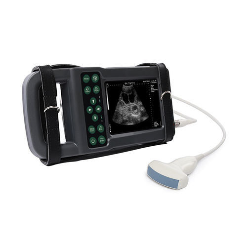 Ecógrafo veterinario portátil - KX5600L - Kaixin Electronic Instrument - multifuncional / blanco y negro