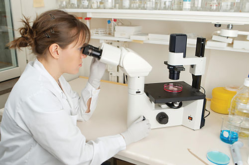 Sistema de gestión de laboratorio - Oracle Cerner - de la información / de datos / RFID