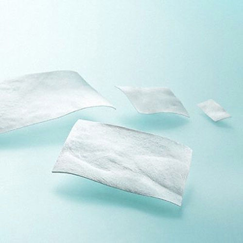 Prótesis de sustitución de duramadre xenotransplante - LYOPLANT&reg; - Aesculap®