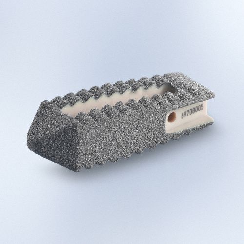 Caja intersomática lumbar - PROSPACE®XP - Aesculap® - vía posterior
