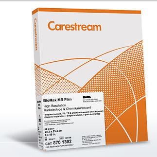 Película radiográfica para radiografía polivalente - BioMax MR - Carestream - 8 x 10 / 14 x 17 / 10 x 12