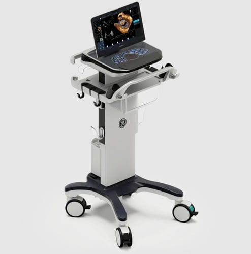 Ecógrafo portátil, con carro - Vivid™ iq - GE Healthcare - para ecografía cardiovascular / blanco y negro / doppler-color