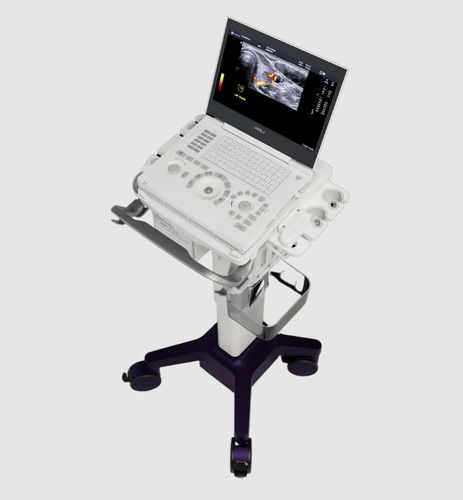 Ecógrafo portátil, con carro - LOGIQ™ e - GE Healthcare - para ecografía en urgencias médicas / para ecografía musculoesquelética / para ecografía con anestesia y en cuidados intensivos