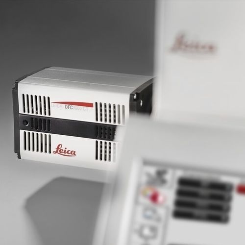 Cámara para microscopio - DFC9000 - Leica Microsystems - digital / CMOS / fluorescente