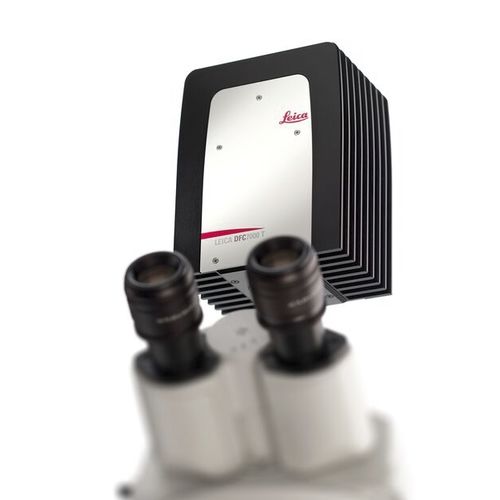 Cámara para microscopio - DFC7000 series - Leica Microsystems - digital / con amplio rango dinámico / CCD