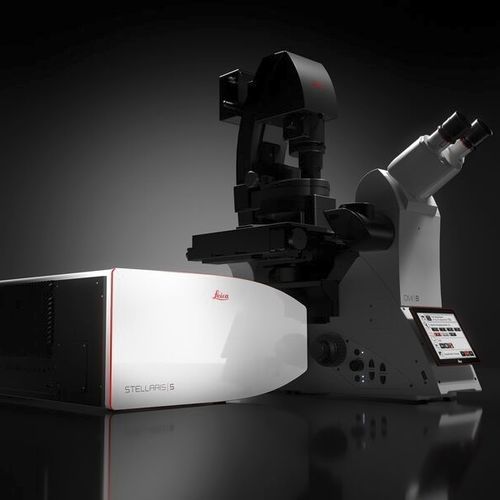 Microscopio óptico - STELLARIS series - Leica Microsystems - de laboratorio / para las ciencias de la vida / FLIM