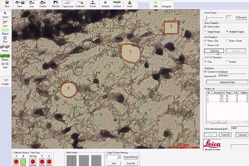 software médico - Leica Microsystems