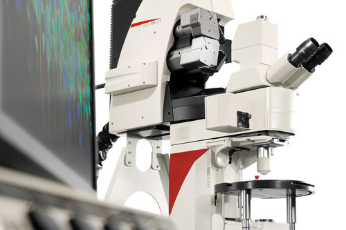 Microscopio digital - TCS SP8 MP - Leica Microsystems - infrarrojo / de laboratorio / para órgano