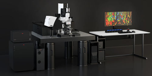 Microscopio multifotónico - STELLARIS DIVE - Leica Microsystems - óptico / biológico / confocal