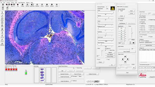 Software médico - LMD   - Leica Microsystems - de laboratorio / para microscopios digitales / de análisis