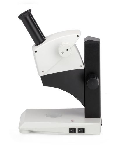 Estereomicroscopio óptico - ES2 - Leica Microsystems - de formación / binocular / LED