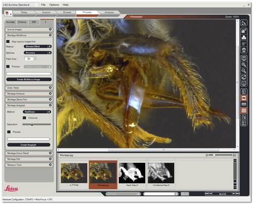 Software de visualización - LAS Montage - Leica Microsystems - de archivo / de análisis / médico