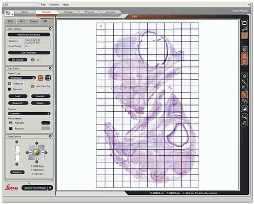 Software de visualización - LAS Power Mosaic - Leica Microsystems - de archivo / de análisis / médico