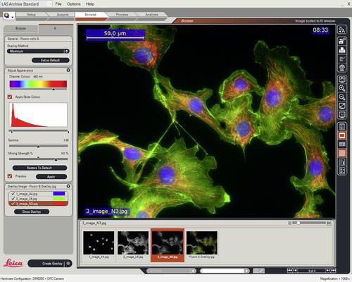Software médico - LAS Image Overlay - Leica Microsystems - de laboratorio / para microscopios digitales / de visualización