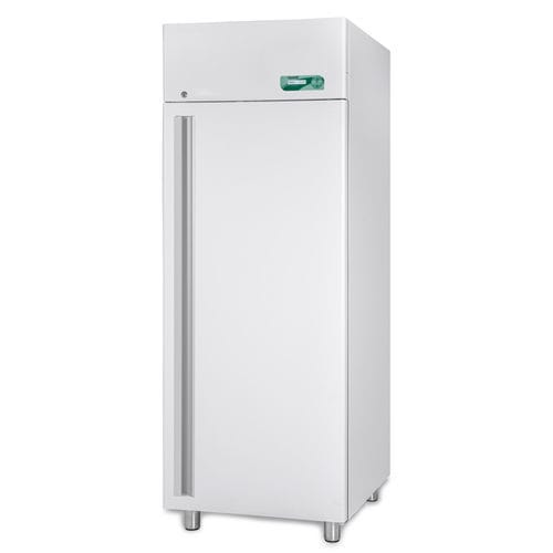 Congelador para hospitales - SUPERARTIC 700 ECT-F - Fiocchetti Scientific - de laboratorio / de tipo armario / armario
