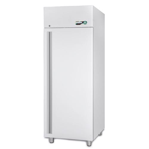 Congelador para hospitales - SUPERARTIC 700 ECT-F - Fiocchetti Scientific - de laboratorio / armario / con 1 puerta