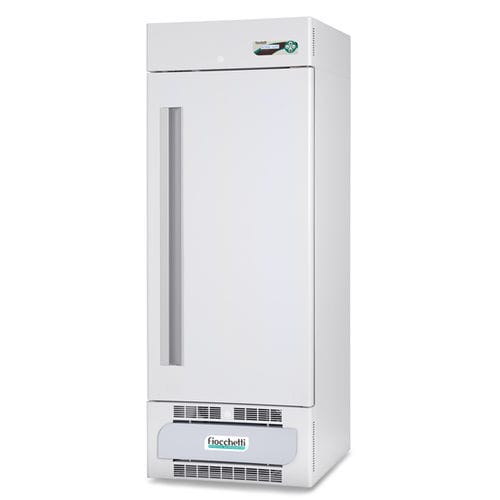 Congelador para centro sanitario - 250 ECT-F PLUS - Fiocchetti Scientific - para hospitales / de laboratorio / armario