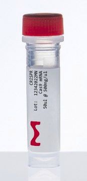 Reactivo Proteína Cas9 - CAS9MRNA-1EA - Merck - para secuenciación de ADN