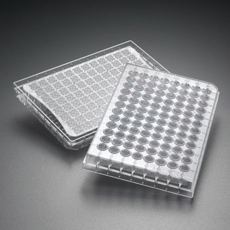 Microplaca para la investigación - Multiscreen® - Merck - de cultivo celular / de filtración / filtro