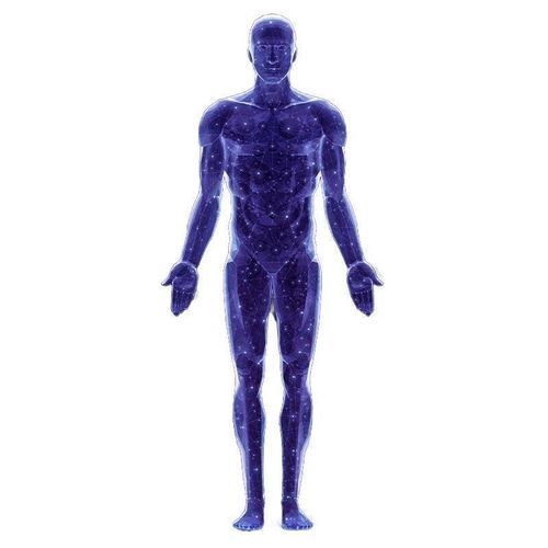 Plataforma de IA para cardiología - SonoAI - CHISON Medical Technologies - para hospitales / para la investigación médica / para imágenes médicas
