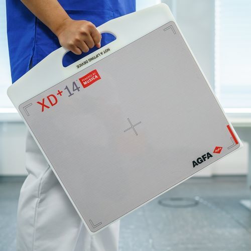 Panel detector plano para radiografía veterinaria - Dura-line XD - AGFA - portátil / inalámbrico / 14 x 17