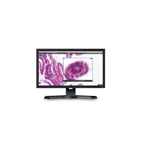 Software de análisis - CaseViewer - Sysmex Europe - visualizador / médico / para tablet PC