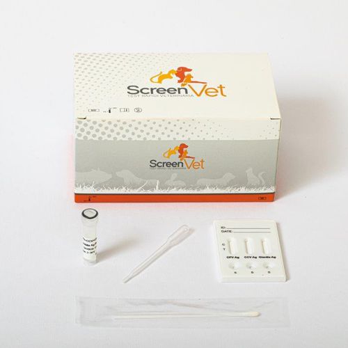Prueba rápida para enfermermedades infecciosas - SCV-2290-10 - SCREEN ITALIA - para perro / para antígenos / de coronavirus