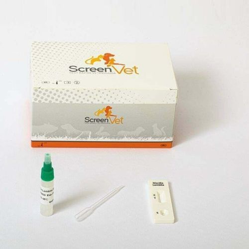 Prueba rápida para enfermermedades infecciosas - SCV-4218-10 - SCREEN ITALIA - veterinaria / para perro / para anticuerpos