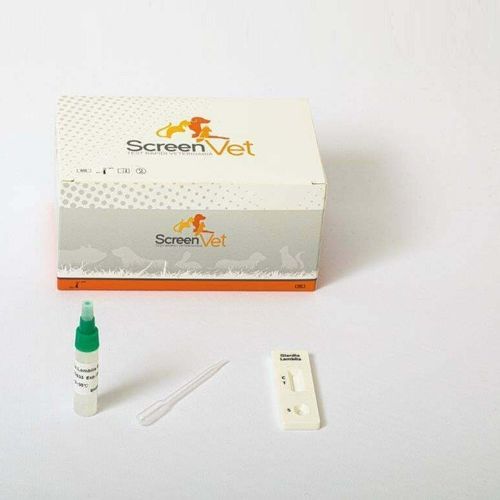 Prueba rápida para enfermermedades infecciosas - SCV-4225-10 - SCREEN ITALIA - veterinaria / para gatos / para antígenos