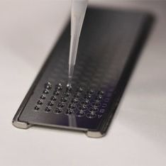 Portaobjetos - FlexiFocus™ - Shimadzu