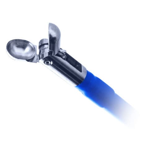 Pinza para endoscopia - BIPAL®  - Cordis - para prensión de tejidos / de biopsia endomiocárdica / de acero inoxidable
