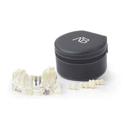 Modelo anatómico de mandíbula - TLJ  - A.B. Dental Devices - de implantología / de plástico / transparente