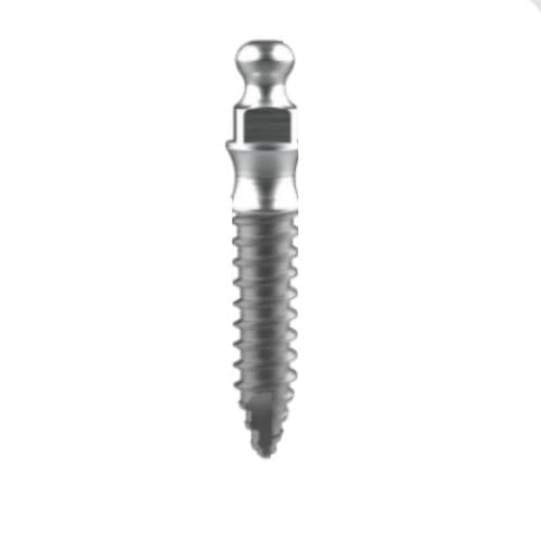 Miniimplante cónico - BOB series - BIOTEM.Co.,Ltd   - de titanio / cónico / tipo bola