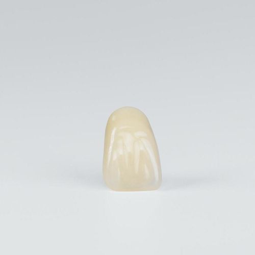 Prótesis dental de fibra acrílica - Preference Acrylic - Candulor - de los dientes anteriores / para dientes posteriores