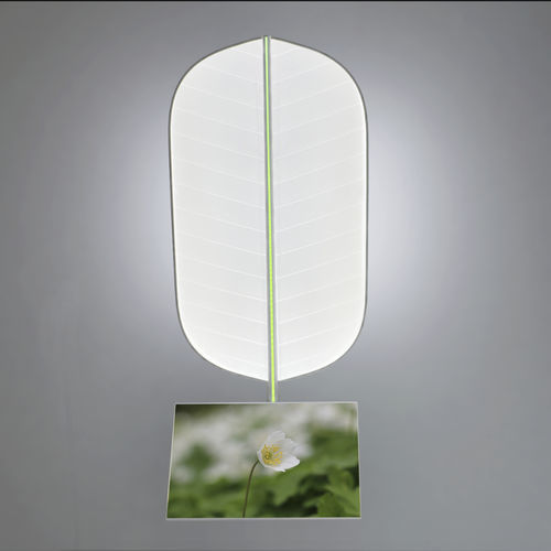 Iluminación de techo - Leaf with monitor - D-TEC - de hospital / para clínica veterinaria / de medicina estética