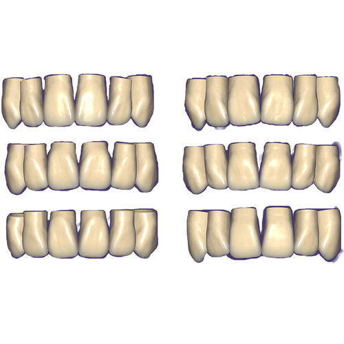 Módulo de software de CAD - Tooth Library - exocad GmbH   - para odontología / de dientes / de mandíbula