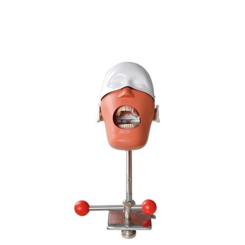 Simulador de formación - Foshan Roson Medical Instrument - para odontología / para atención general / de enfermedades de los dientes