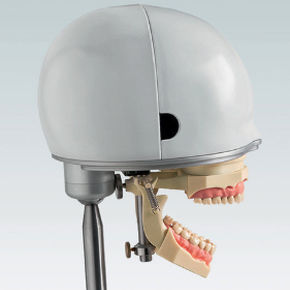 Maniquí de prácticas para cuidados dentales - PK-1 P-BS - frasaco - para atención general / de cabeza