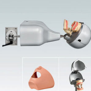 Simulador de paciente para cuidados dentales - PK-1 TKUTD - frasaco - de cabeza