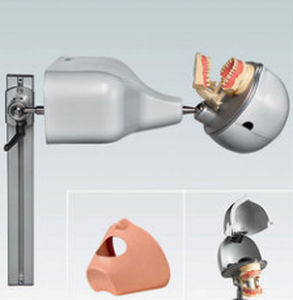 Simulador de paciente para cuidados dentales - PK-1 TKUTDS - frasaco - de cabeza