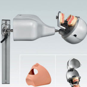 Simulador de paciente para cuidados dentales - PK-2 TKUTDS - frasaco - de cabeza