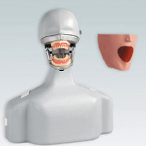 Simulador de paciente para cuidados dentales - P-6/5 TSE - frasaco - de cabeza