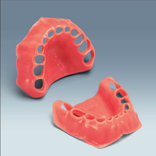 Modelo anatómico de encías - AK-6/2 WOK - frasaco - de dentadura / de formación