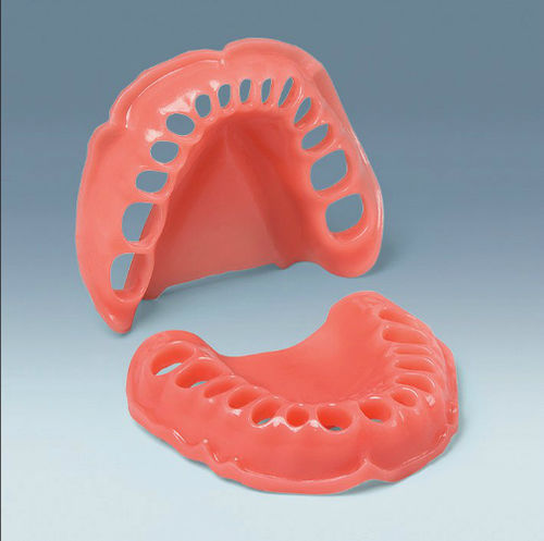 Modelo anatómico de encías - AN-4 WOKV 99-001 - frasaco - de dentadura / de formación