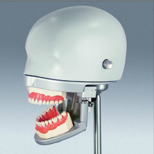 Maniquí de prácticas para cuidados dentales - P-6/3 - frasaco - de cabeza